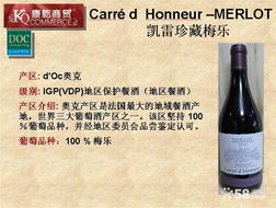 僅99元！紅酒之夜精品派對單人套餐，尊享法式微醺之旅